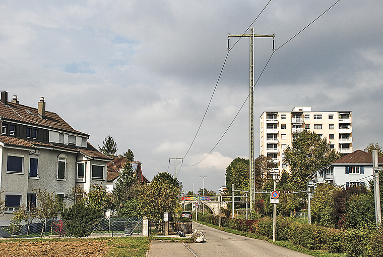Zankapfel: Der Mast an der Dammstrasse auf der Höhe der Gartenstrasse.  Foto: Thomas Brunnschweiler