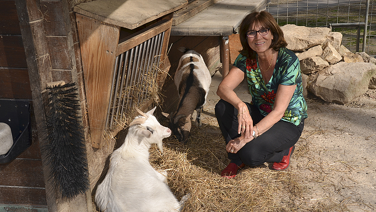 «Ich muss noch so viel lernen.» Esther Jundt, die neue Frau an der Spitze des Tierparkvereins, im Geissengehege.
