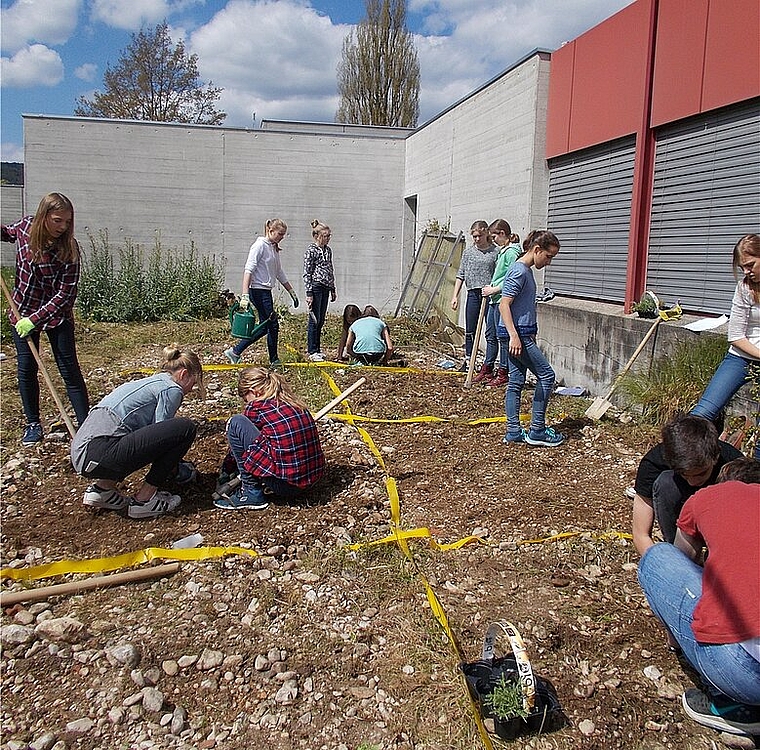 Präzise: Die Schülerinnen und Schüler des Freifachs Naturwissenschaften stecken ihre Parzellen zum Bepflanzen ab. Foto: zvg