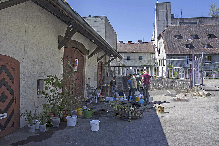 Letzte Vorbereitungen: Pflanzeninstallation von Rahel Hegnauer.  Foto: ZVG
