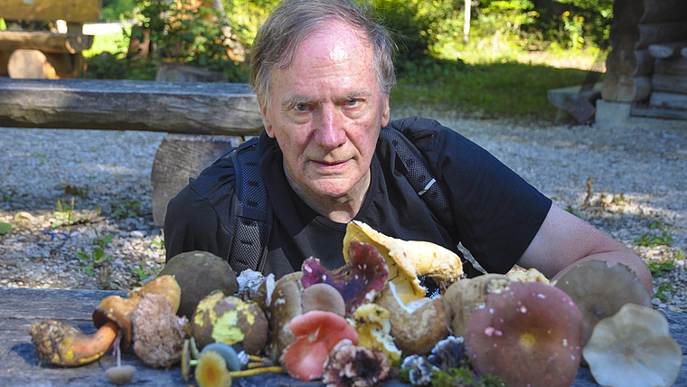 Reiche Ausbeute: Pilzkontrolleur Kurt Minder entdeckte auf seinem letzten Pilzgang 27 verschiedene Arten. Foto: Isabelle Hitz