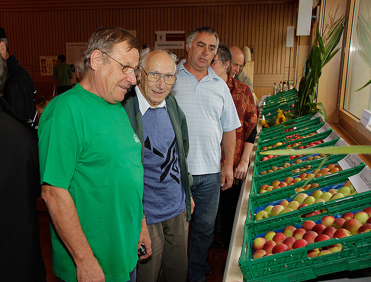 Ausstellung mit Beratung:Anton Flury, Präsident des Obst- und Gartenbauvereins Laufental (l.), gibt kompetent Auskunft. Foto: Martin Staub