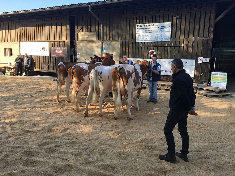 Geschätzter Experte: Jean Siegenthaler aus dem Berner Jura beurteilte gegen 100 Kühe.  Fotos: Caspar Reimer und Martin Graf (Front)