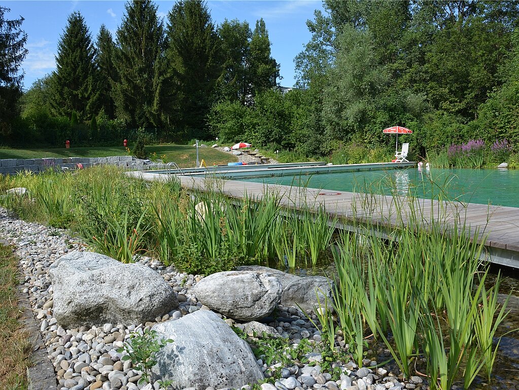 Naturbad Breitenbach: Die grüne Oase. 
