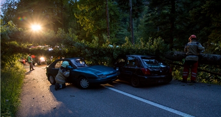 Unfall auf der Blauenstrasse: Ein vom Sturm gefällter Baum trifft zwei Personenwagen. Foto: Martin Staub
