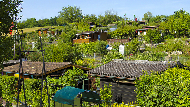 Familiengärten: Für die einen ein stiller Rückzugsort, für die anderen ein perfekter Platz für Familienfeten.  Foto: ZVG/Paul Fahrni