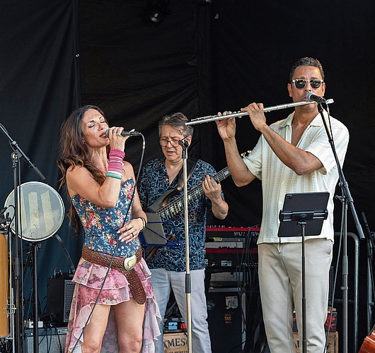 Gesang, Gitarre und Querflöte: Anissa Damali & The Genius.