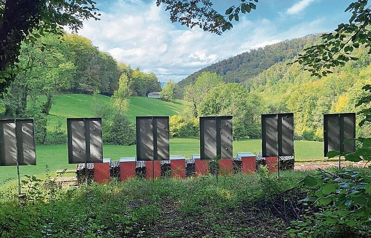Schiessanlage in der Ermitage: Die Schutzziele des Naturschutzgebiets umfassen unter anderem ein Verbot von stark lärmigen Freizeitangeboten. Foto: Archiv/Bea Asper