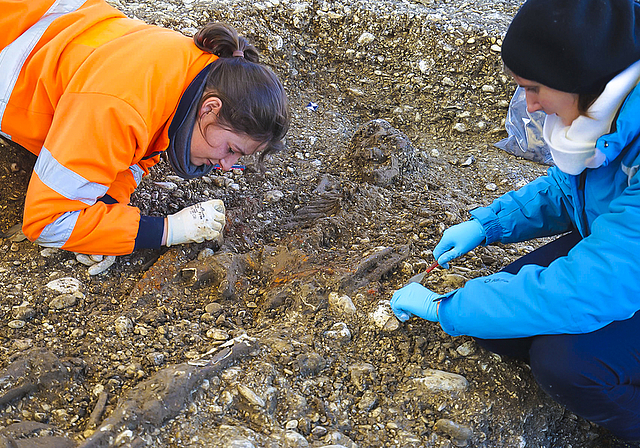«Archäologisches Eldorado»: Die Archäologinnen legten an der Baselstrasse ein Männergrab frei und stiessen dabei auf ein Schwert und ein Keramikgefäss, die dem Grab beigelegt wurden. Fotos: ZVG / Archäologie Baselland
