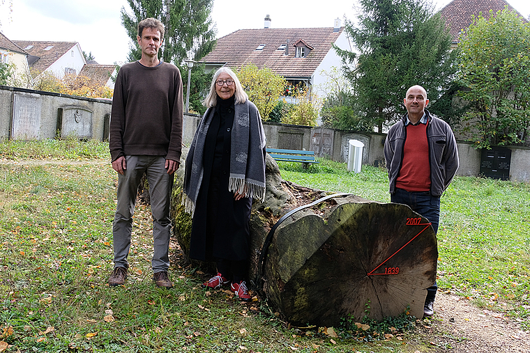 Bei Gregori Bezzolas «Stammbaum»: Johannes Sloendregt, Barbara Groher und Gregori Bezzola (v. l.).  Foto: Thomas Brunnschweiler