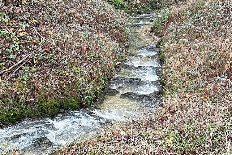 Rampen: Das erstellte Nebengerinne erlaubt den Fischen, den hohen Absturz mit einer Höhe von zwei Metern zu umgehen. Foto: Life Science AG, November 2025 Rampen: Das erstellte Nebengerinne erlaubt den Fischen, den hohen Absturz mit einer Höhe von zwei Metern zu umgehen. Foto: Life Science AG, November 2025