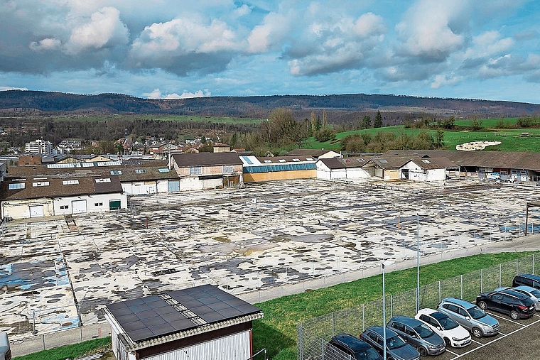 Nach dem Brand: Zurück bleiben eine Brache — und die im Löschschaum eingesetzten Ewigkeitschemikalien. Foto: Kenneth Nars