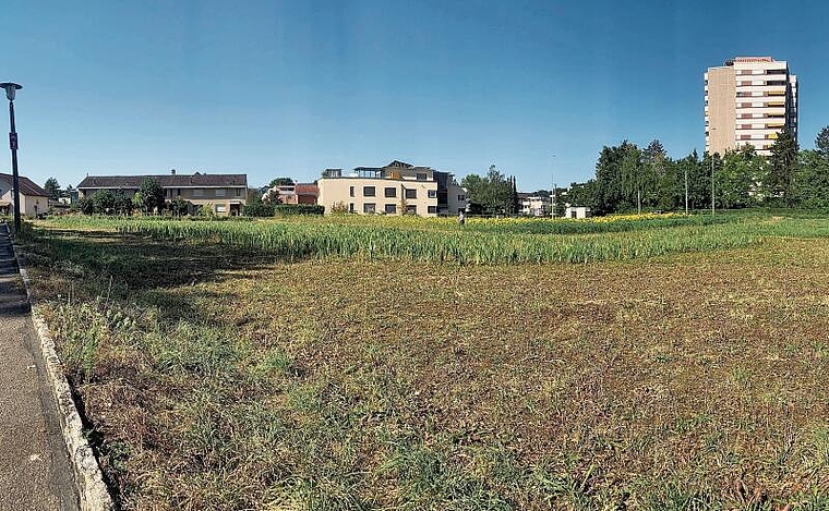 Mauern statt Gras: Die Wiese entlang der Baselstrasse wird bald einer neuen Überbauung weichen. Foto: Caspar Reimer