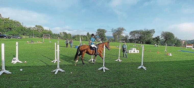 Gymkhana: Ein vielseitiger Parcours musste absolviert werden. Foto: Bea Asper