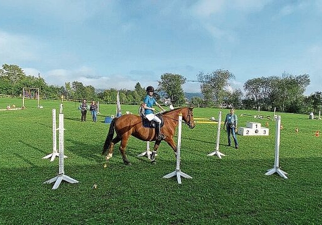 Gymkhana: Ein vielseitiger Parcours musste absolviert werden. Foto: Bea Asper
