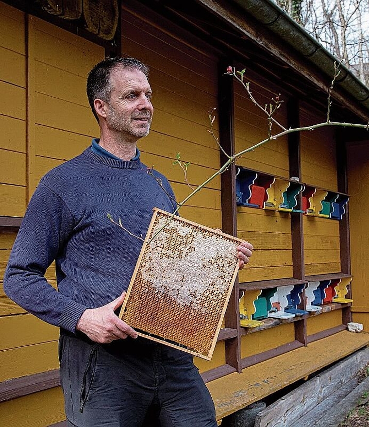 Mit Weitblick: Michael Stebler zeigt eine Wabe mit Winterfutter vor dem Vereinsbienenstand in Erschwil. Foto: Martin Staub