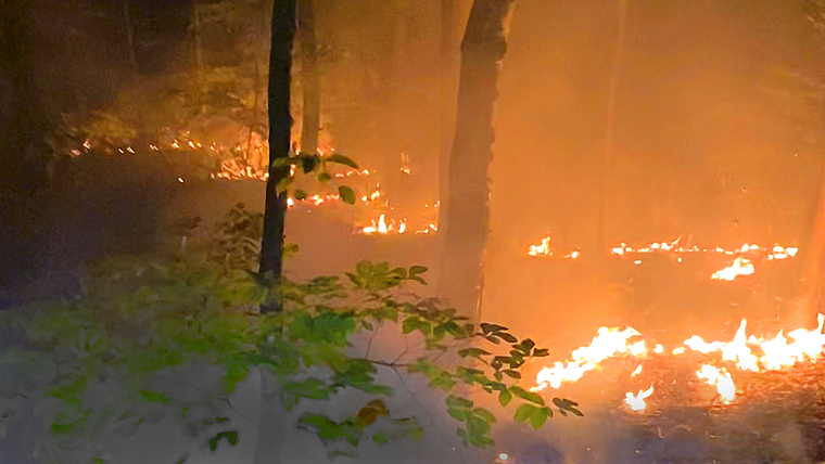 Bodenbrand im Arlesheimer Wald: Die Ursache für das Feuer konnte noch nicht gefunden werden.  Foto: Polizei Basel-Landschaft/ZVG