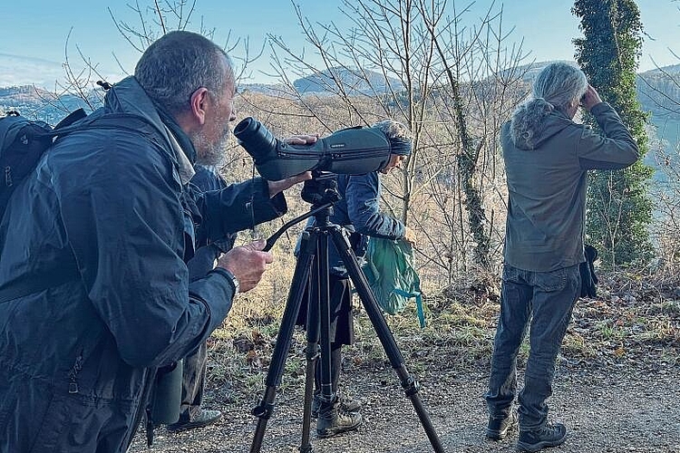 Auf der Lauer: Wer einen Feldstecher oder ein Fernglas dabei hatte, konnte hoffen, einen Vogel aus der Nähe zu sehen. Foto: Caspar Reimer