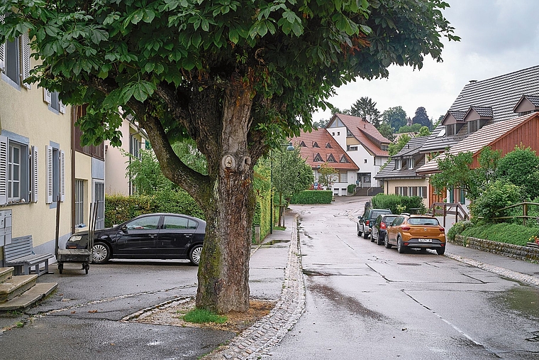 Bis jetzt parkiert man kostenlos: Eine Kommission sieht keinen Grund für eine flächendeckende Parkraumbewirtschaftungauf den Pfeffinger Strassen. Foto: Archiv / Roland Schmid