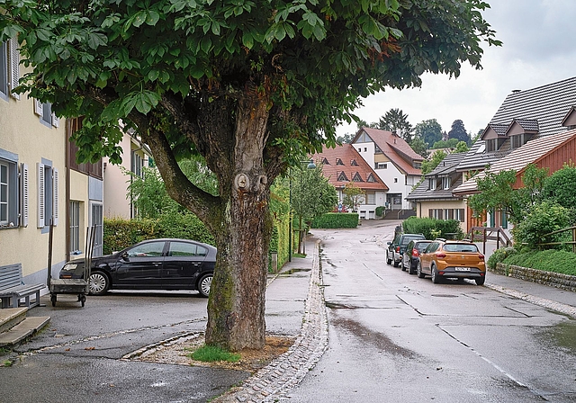Bis jetzt parkiert man kostenlos: Eine Kommission sieht keinen Grund für eine flächendeckende Parkraumbewirtschaftungauf den Pfeffinger Strassen. Foto: Archiv / Roland Schmid