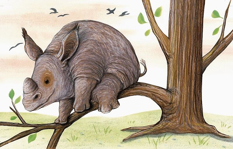 Gefahr gebannt: Das Nashorn klettert auf dem tiefen Ast und nicht, wie ursprünglich vorgesehen, auf einem höheren. Abbildung: ©Kathrin Schärer / Carl Hanser Verlag