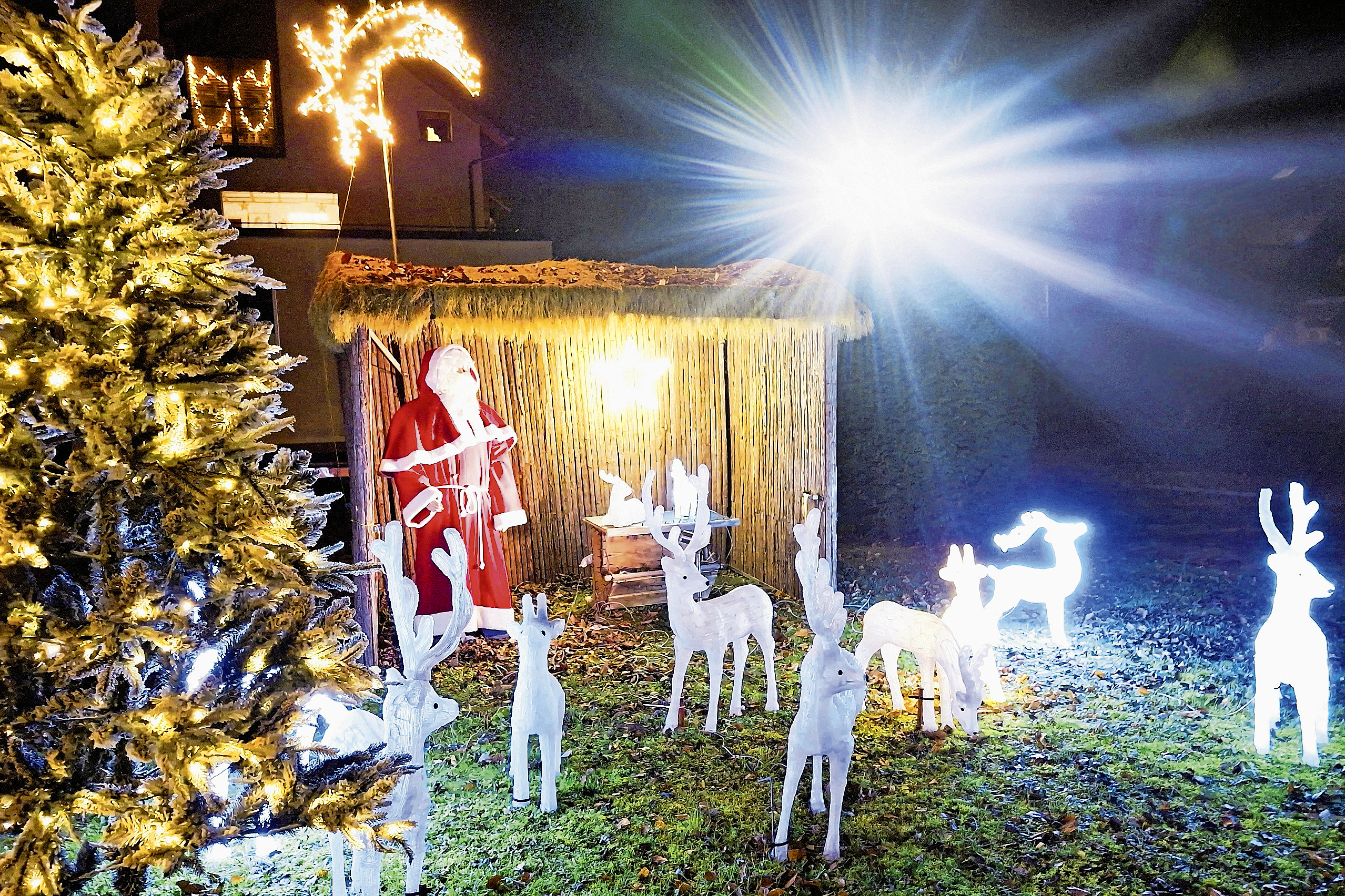 Platz 1: das Bild von Monika Graf. Platz 1: das Bild von Monika Graf.