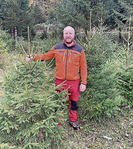 Das ganze Jahr Weihnachten: Zu den Aufgaben von Revierförster Thomas Suter gehört auch die Pflege von Weihnachtsbäumen. Fotos: Thomas Immoos