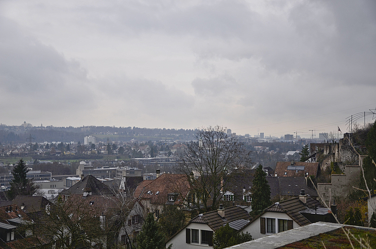 Revival: Der 58-Bus wird die Quartiere Alt-Münchenstein und die Gartenstadt während mindestens einer zweieinhalbjährigen Testphase wieder verbinden. Foto: Thomas Kramer