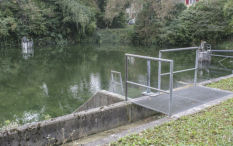 Weniger Beton, mehr Natur: Die Versickerungsanlage Kuhweid soll mit Wasserpflanzen oder Amphibien aufgewertet werden. Foto: AZ Medien