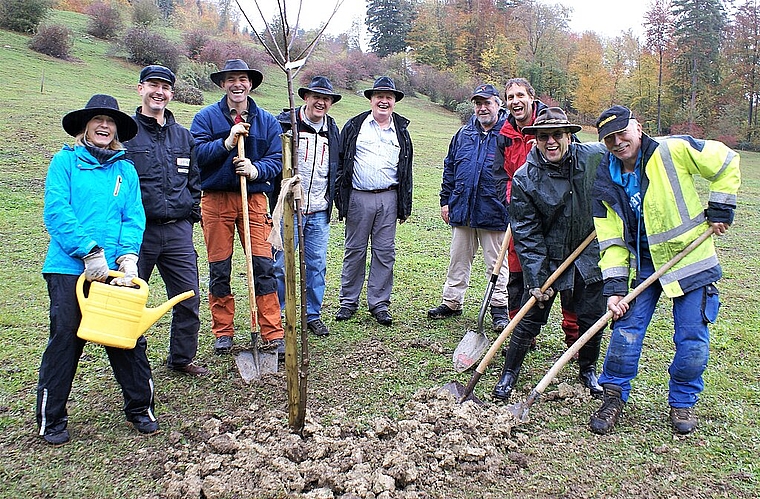 <em>Begeisterter Einsatz für die Artenvielfalt: </em>Eine Weisse Herzkirsche wird auf der Stürmenweid gepflanzt. <em>Foto: Jürg Jeanloz</em>