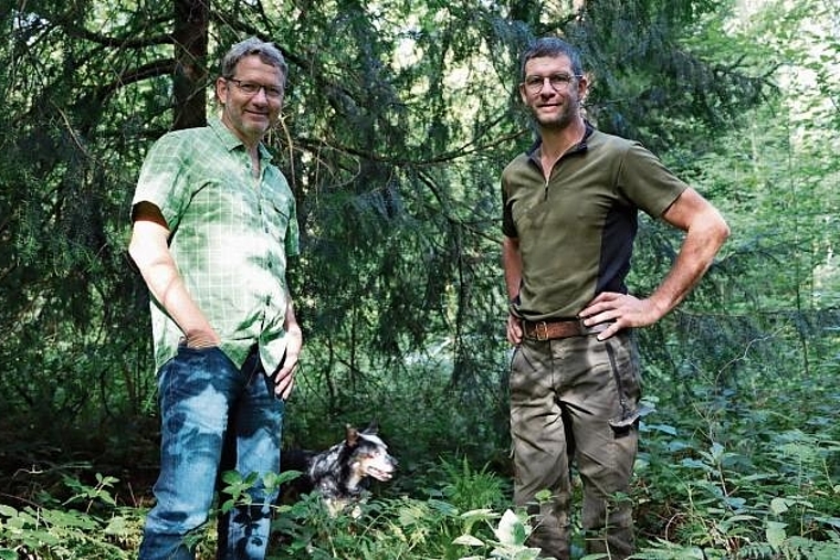 Baumbeziehung: Gerhard Walser (l.) vor «seiner» 38-jährigen Eibe im Brislacher Wald beim Waldtagerundgang mit Hund DJ und Kollege Markus Schmidlin. Foto: Carlo Lang