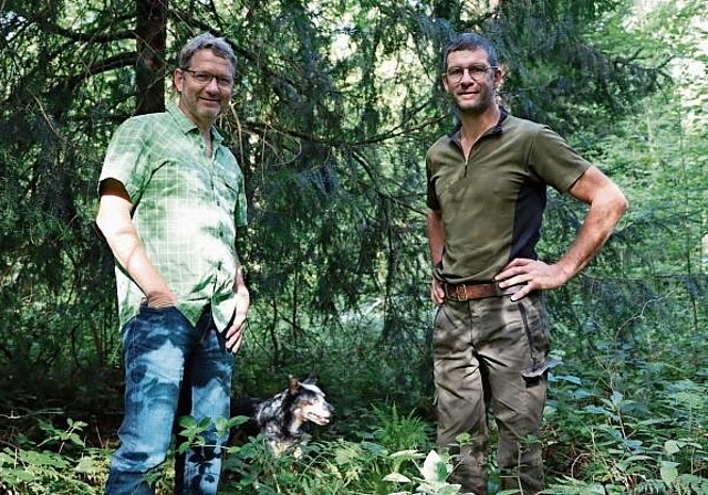 Baumbeziehung: Gerhard Walser (l.) vor «seiner» 38-jährigen Eibe im Brislacher Wald beim Waldtagerundgang mit Hund DJ und Kollege Markus Schmidlin. Foto: Carlo Lang