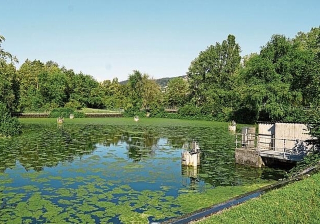 Klares Wasser für Aesch: Mit der Grundwasseranreicherungsanlage wird die Trinkwassergewinnung auch in Trockenzeiten sichergestellt.