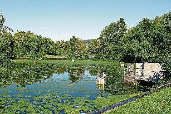 Klares Wasser für Aesch: Mit der Grundwasseranreicherungsanlage wird die Trinkwassergewinnung auch in Trockenzeiten sichergestellt.