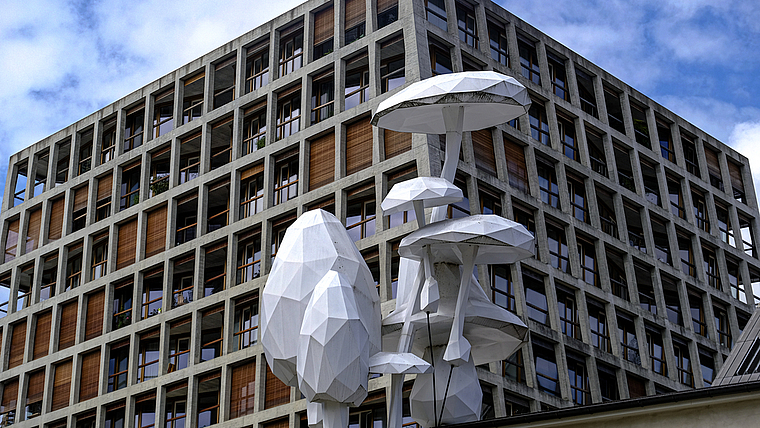 Scheinnatur trifft auf moderne Architektur: «A band of floating mushrooms» vor dem Helsinki-Gebäude der Architekten Herzog & De Meuron.  Foto: Thomas Brunnschweiler