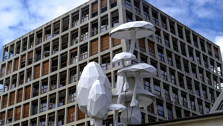 Scheinnatur trifft auf moderne Architektur: «A band of floating mushrooms» vor dem Helsinki-Gebäude der Architekten Herzog & De Meuron. Foto: Thomas Brunnschweiler