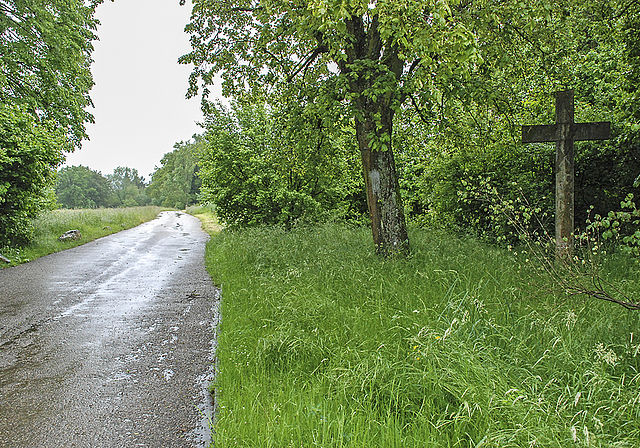 Kirche ist immer auf dem Weg: Hier ein Wegkreuz aus dem Norden Reinachs in der Nähe des Predigerhofs.  Foto: Thomas Brunnschweiler