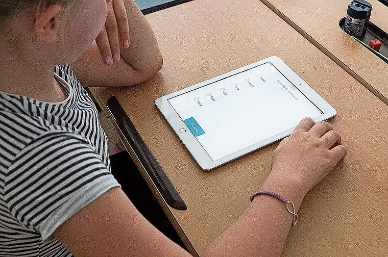 Lernen am Bildschirm: Mit den digitalen Lernbegleitern kann individueller gearbeitet werden. Foto: Pixabay.com