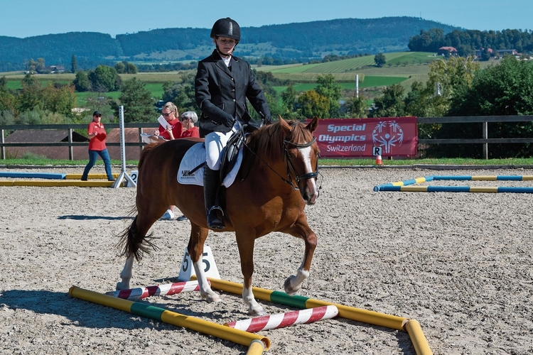Konzentriert: Ein Teilnehmer und ein Pferd bewältigen den Parcours.