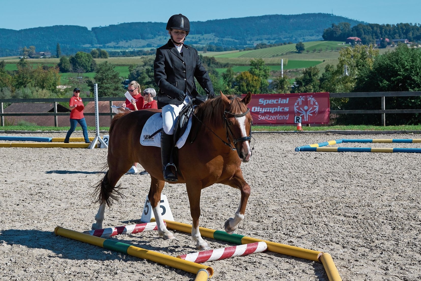 Konzentriert: Ein Teilnehmer und ein Pferd bewältigen den Parcours.