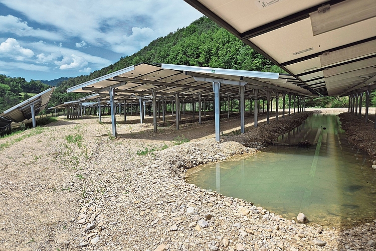 Wertvoller Lebensraum: Unter den Anlagen wurden Weiher angelegt, die der Tierwelt Lebensräume bieten. Foto: Tobias Gfeller Wertvoller Lebensraum: Unter den Anlagen wurden Weiher angelegt, die der Tierwelt Lebensräume bieten. Foto: Tobias Gfeller
