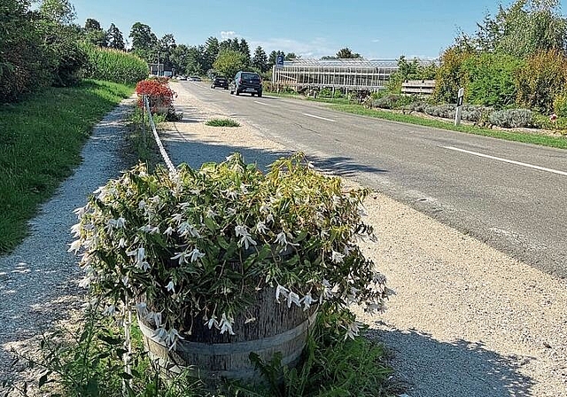 Parkplätze bei der Gärtnerei Allemann: Aufgrund von Sicherheitsaspekte werden die Parkplätze aufgehoben. Foto: Bea Asper