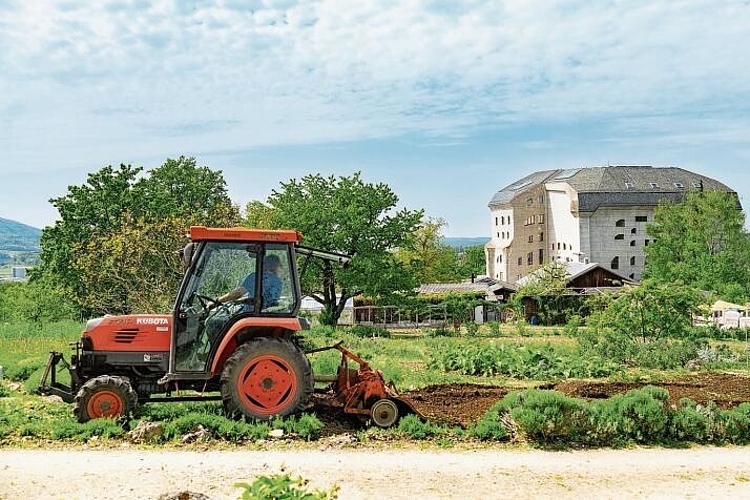 Positive Wirkung für Böden und Umwelt: Gemäss einer Studie des Forschungsinstituts für biologischen Landbau 
ist die biodynamische Landwirtschaft gut für das Klima. Foto: Xue Li