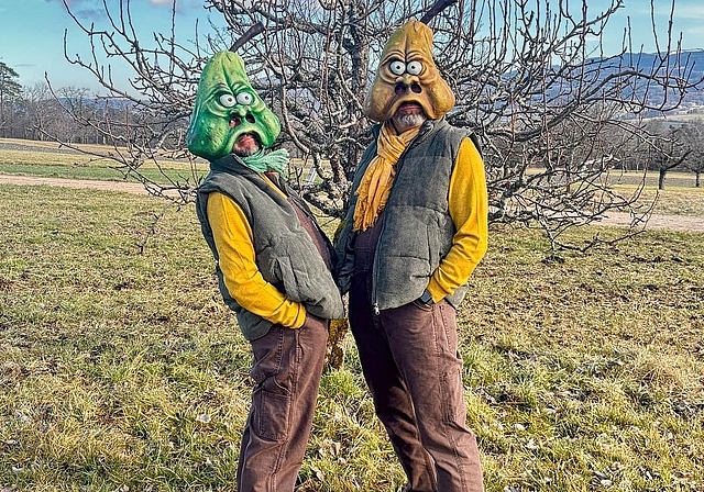 Der Name ist Programm: Die «Stinggbire» mischen an der Fasnacht als griesgrämiges Obst mit. Foto: zvg