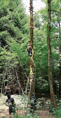 Hoch hinaus: Die Kinder liebten es, den Baum hinaufzuklettern.