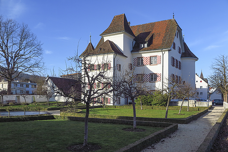 Wer zieht ein ins Blarer-Schloss? Die Aescher und Aescherinnen haben am 28. Februar zu entscheiden. Foto: Edmondo Savoldelli