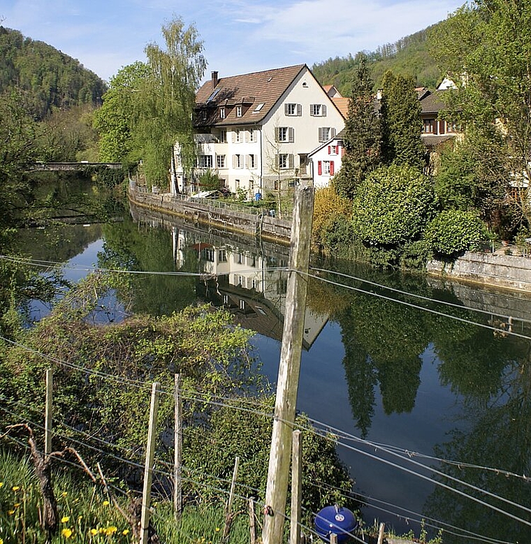 <em>Bild ab Brücke «Unterer Moosweg»: </em>rechts Wiese für die Verbreiterung der Birs mit projektiertem Auenwäldchen.<em> Foto: Jürg Jeanloz</em>