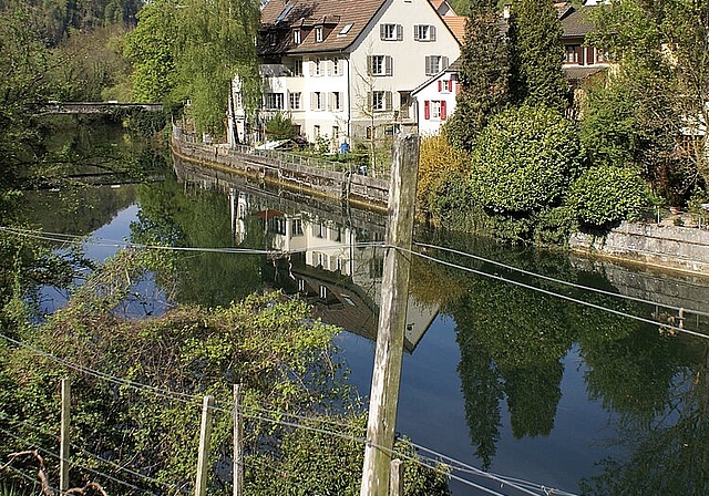 <em>Bild ab Brücke «Unterer Moosweg»: </em>rechts Wiese für die Verbreiterung der Birs mit projektiertem Auenwäldchen.<em> Foto: Jürg Jeanloz</em>