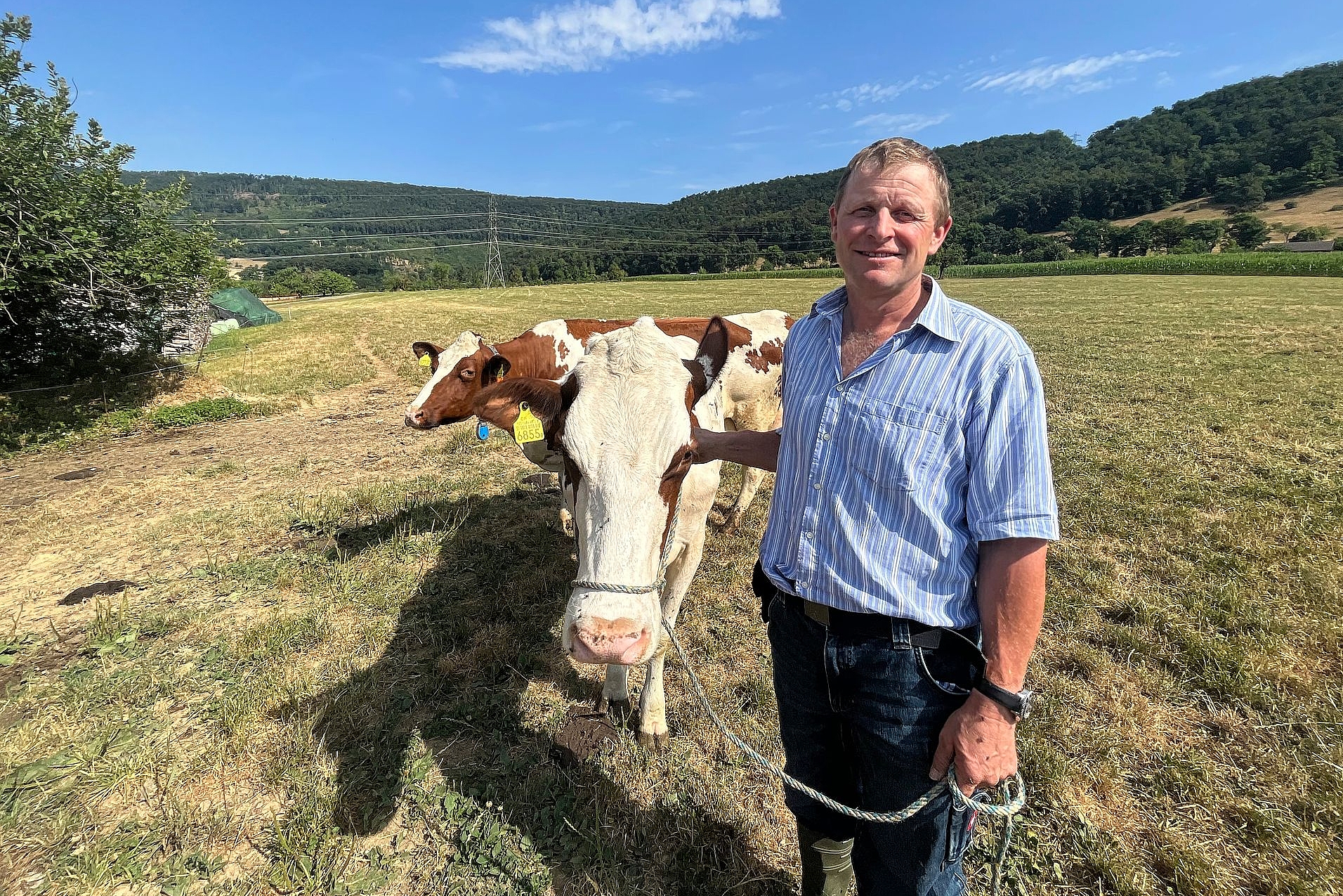 Patrick Staub: «Die Weiden sind abgegrast, die Tiere müssen bereits aus dem Wintervorrat gefüttert werden.» Fotos: Bea Asper