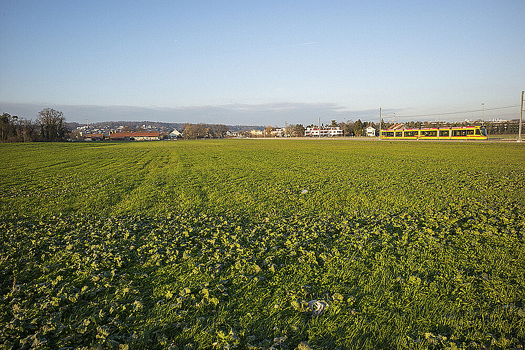 Ablehnung: Bauern wollen ihr Land zwischen Aesch und Reinach nicht für das Eidgenössische 2022 hergeben.  Foto: AZ Medien